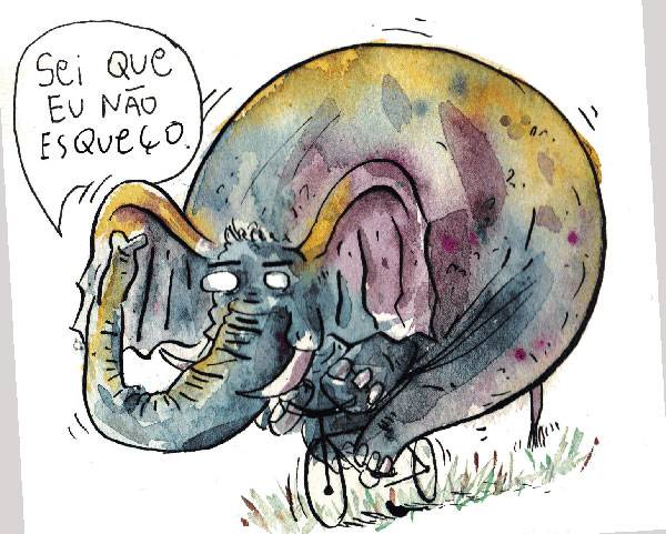 É verdade que jamais esquecemos como andar de bicicleta?