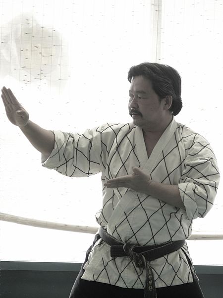 Como surgiu o tae kwon do?