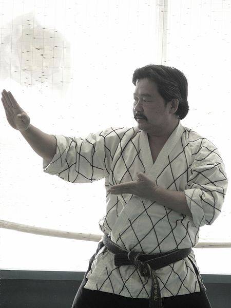 Como surgiu o tae kwon do?