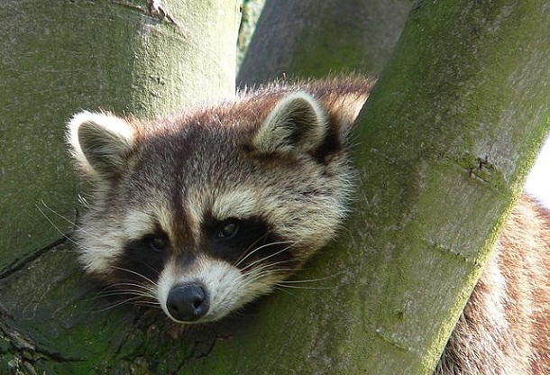 Qual foi a data mais sem graça da história?