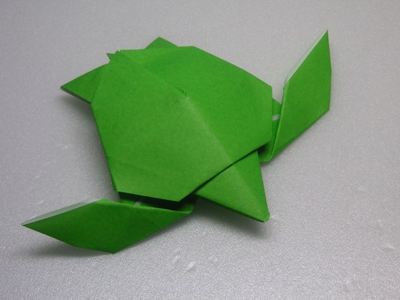 Jacky-GreenTurtle Jacky-GreenTurtle