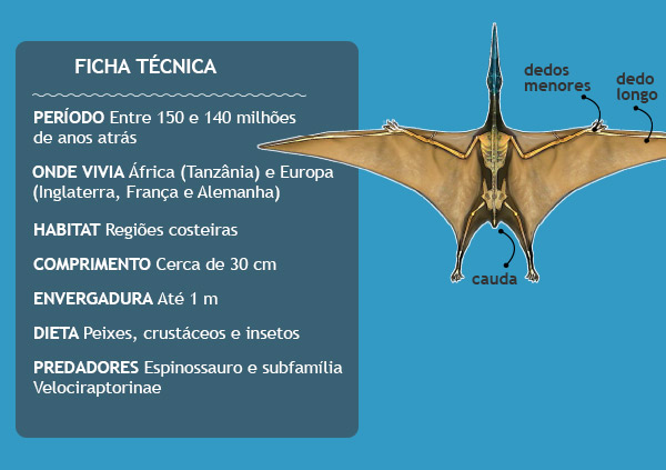 pterodactilo-ficha-tecnica