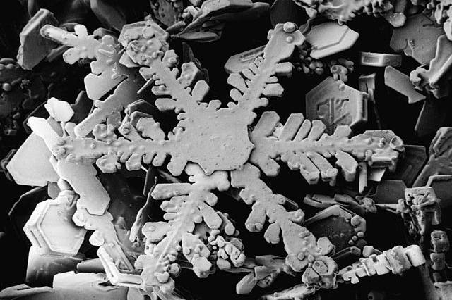 640px-Snowflake_magnified_usda (2)