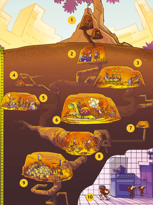 Como é o interior de um formigueiro?