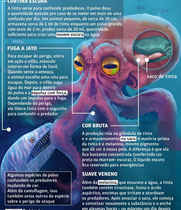 ME_159_virada_33