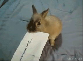 8 países em que a Páscoa é bem diferente do Brasil