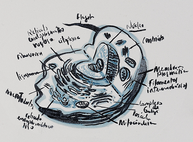 EscolaMaldita_Biologia