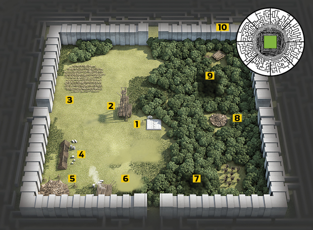 InfoPop: Como é a clareira de Maze Runner?