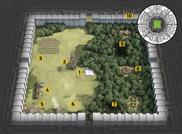 InfoPop: Como é a clareira de Maze Runner?