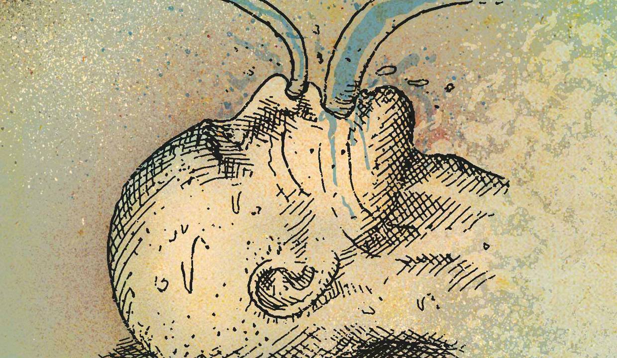 agua - tubos e mangueiras
