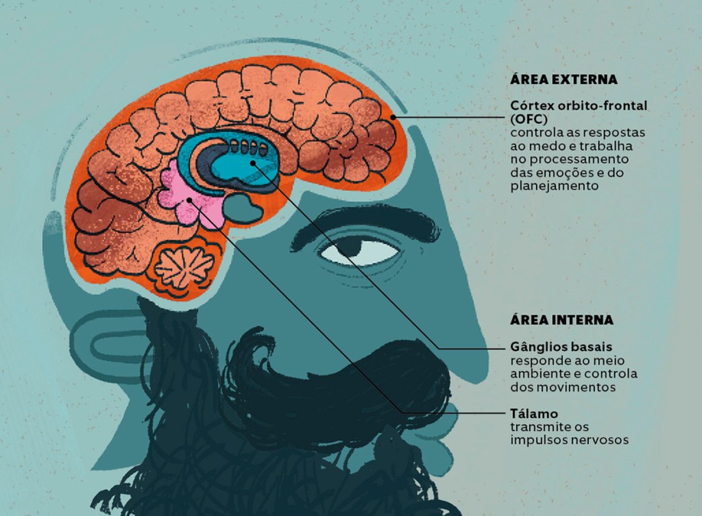 cerebro