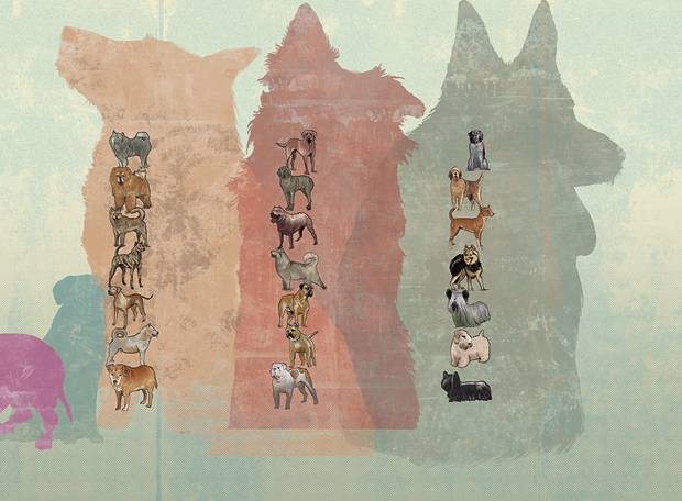 Existem raças de cachorro em risco de extinção?