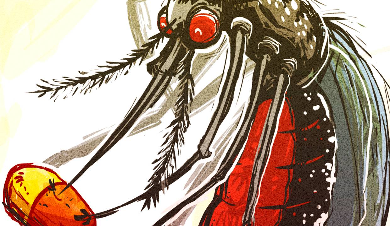 remédios em suspeita de dengue