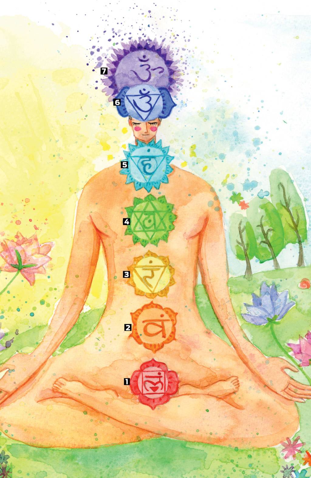 O que são chakras?