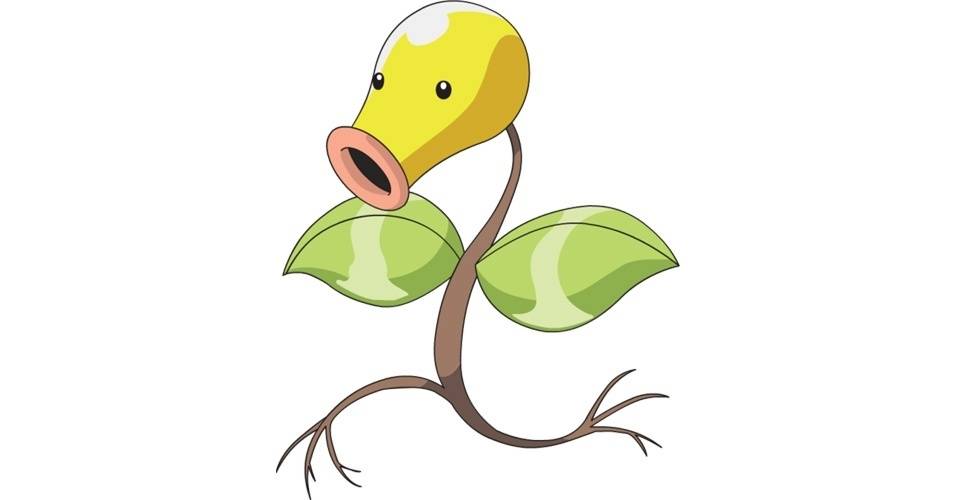 Existem plantas que se locomovem?