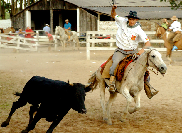 Os rodeios devem ser proibidos?