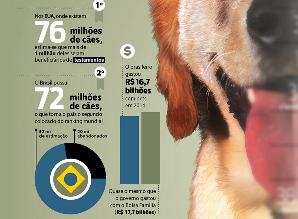 dupla 1 - grafico 1