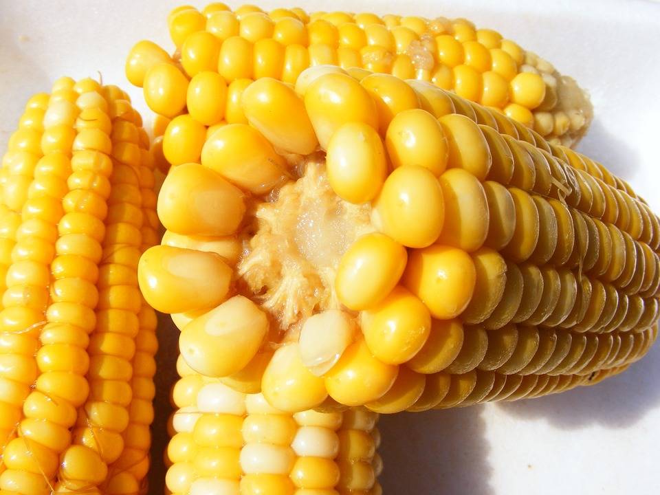 Quanto se perde de nutrientes em um alimento cozido?