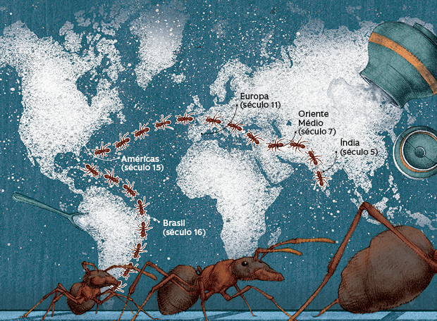 Quando surgiu o açúcar?