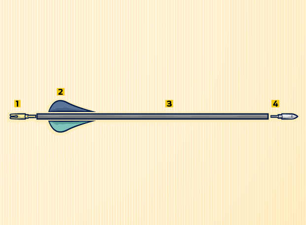 Infográfico: como é um arco e flecha olímpico?