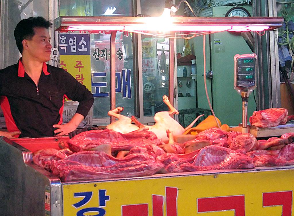 Debate: É aceitável outras culturas comerem carne de cães e gatos?