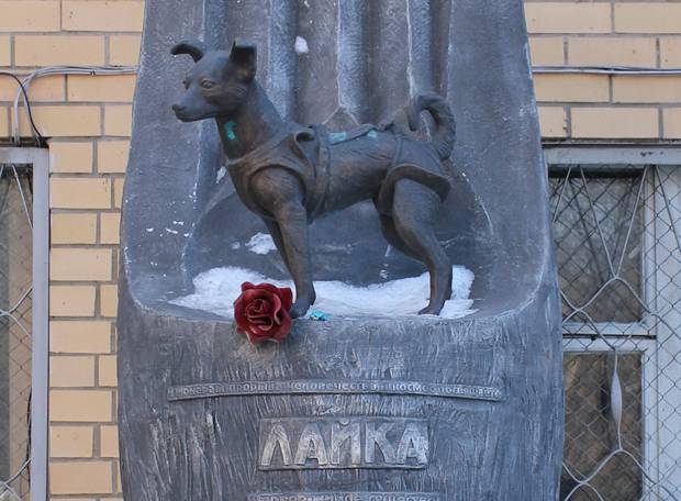 Que animais já foram mandados para o espaço?