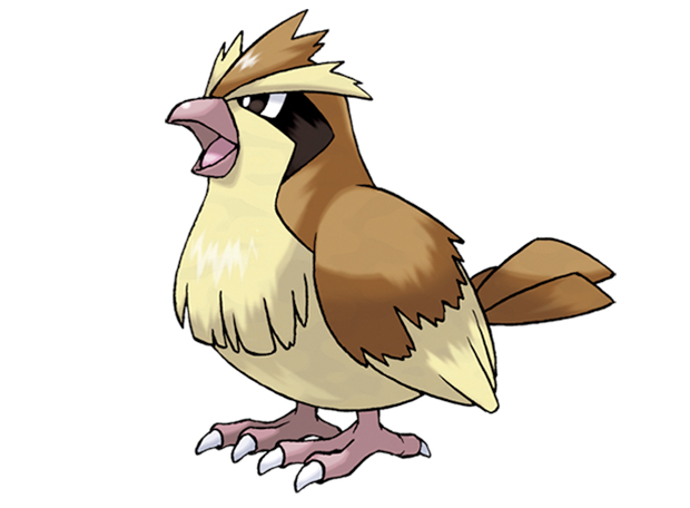 Pokémon Pidgey