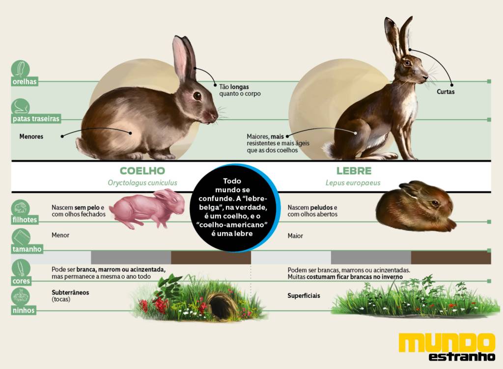 diferença entre os animais6