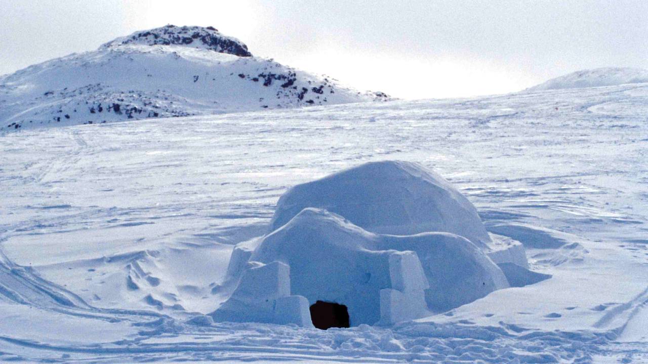 Iglu