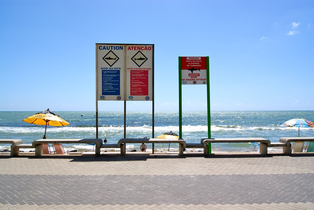 Por que ocorrem tantos ataques de tubarão em Recife?