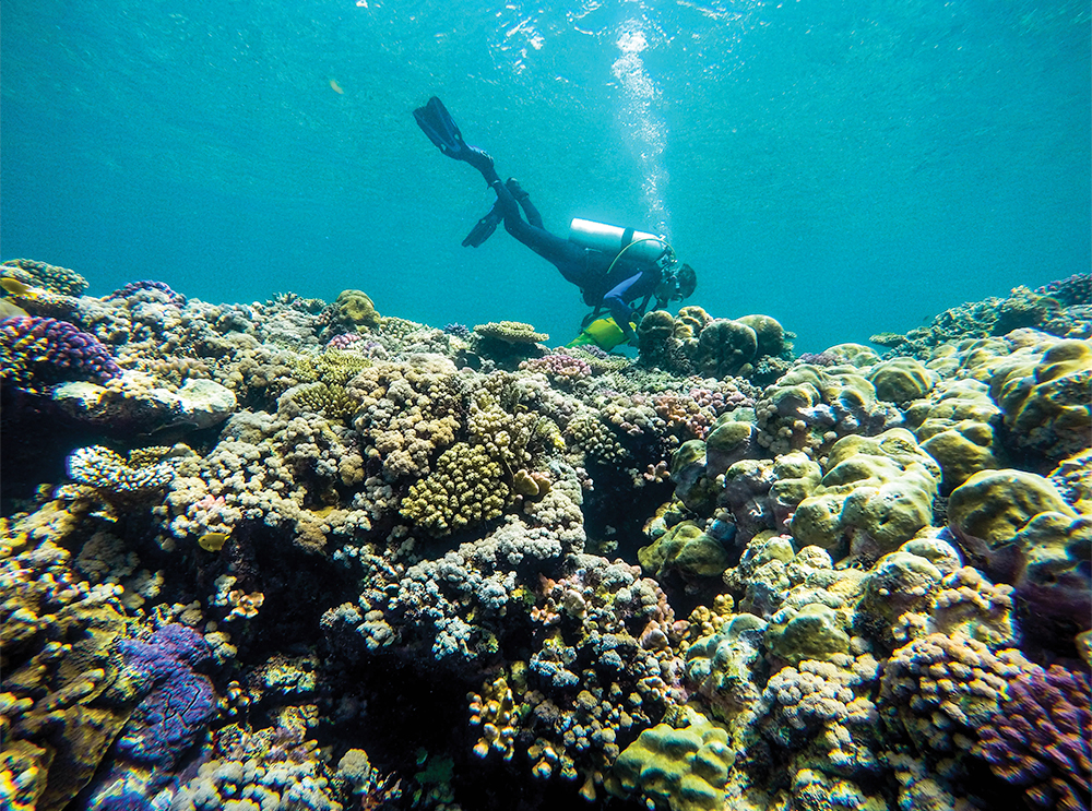 Golfo de Aqaba