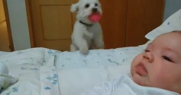 Singela homenagem a um brasileirinho batalhador: