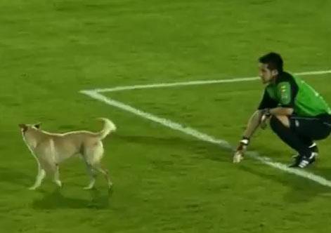 Futebol: 22 jogadores correndo atrás de…