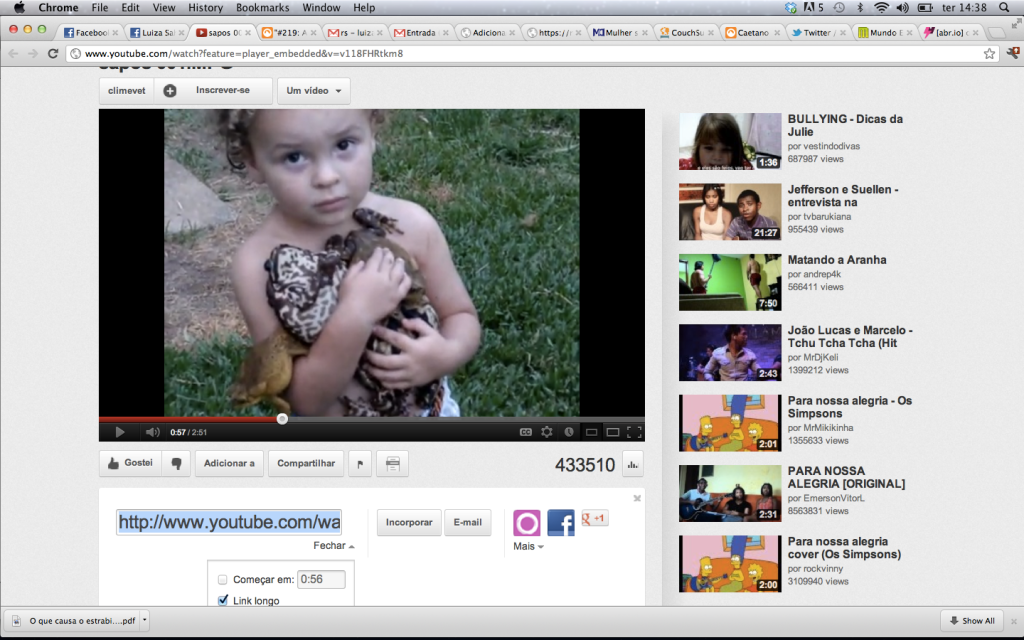 O menino que amava sapos