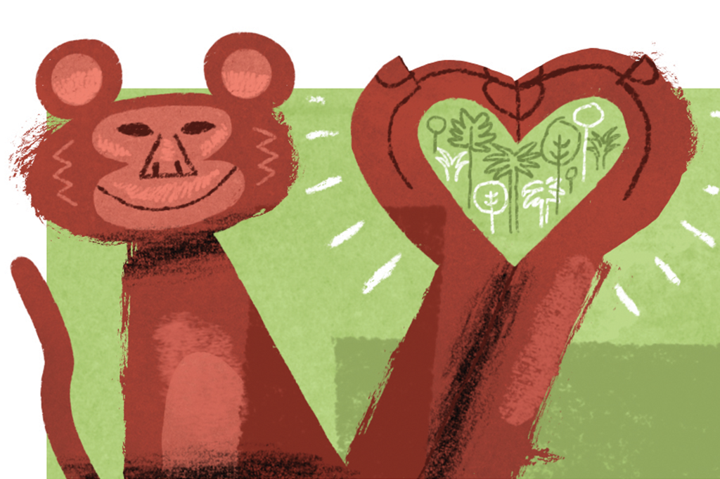 Células-tronco regeneram coração de macacos