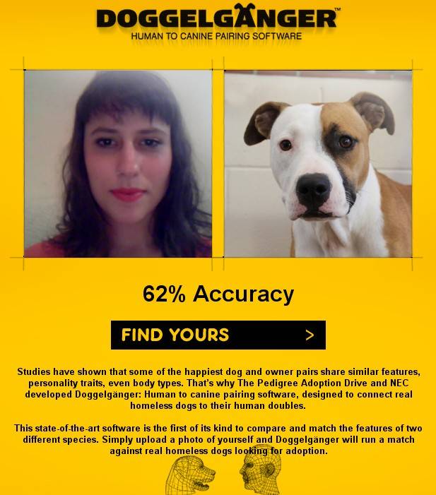 Você tem cara de cachorro?