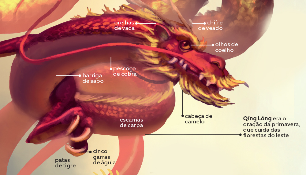 O mundo dos dragões