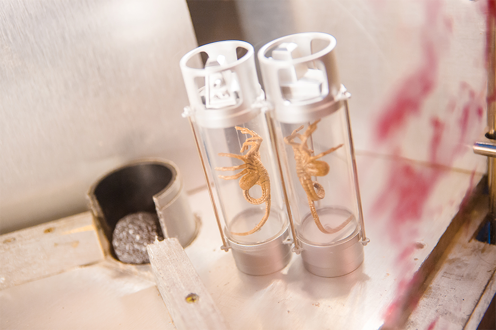 ME conferiu (e venceu!) a escape room do filme “Alien: Covenant”