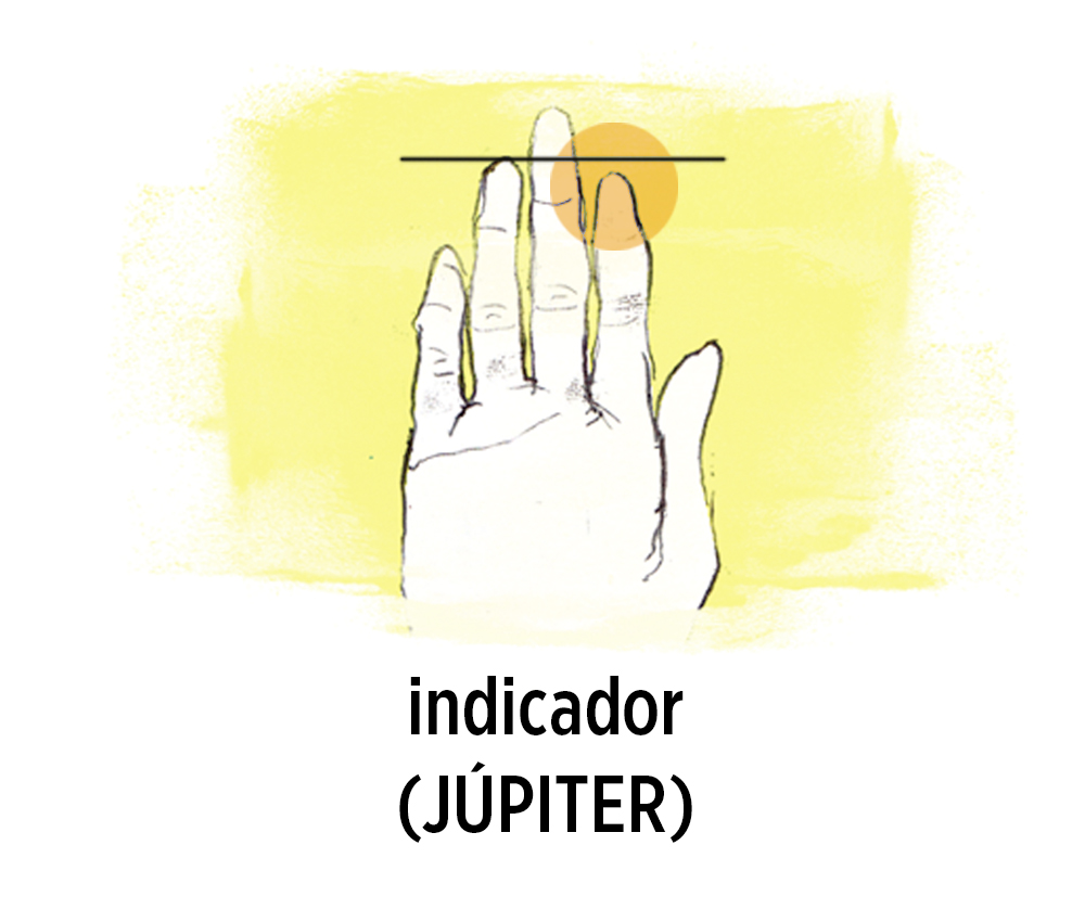 O futuro na palma da m&atilde;o