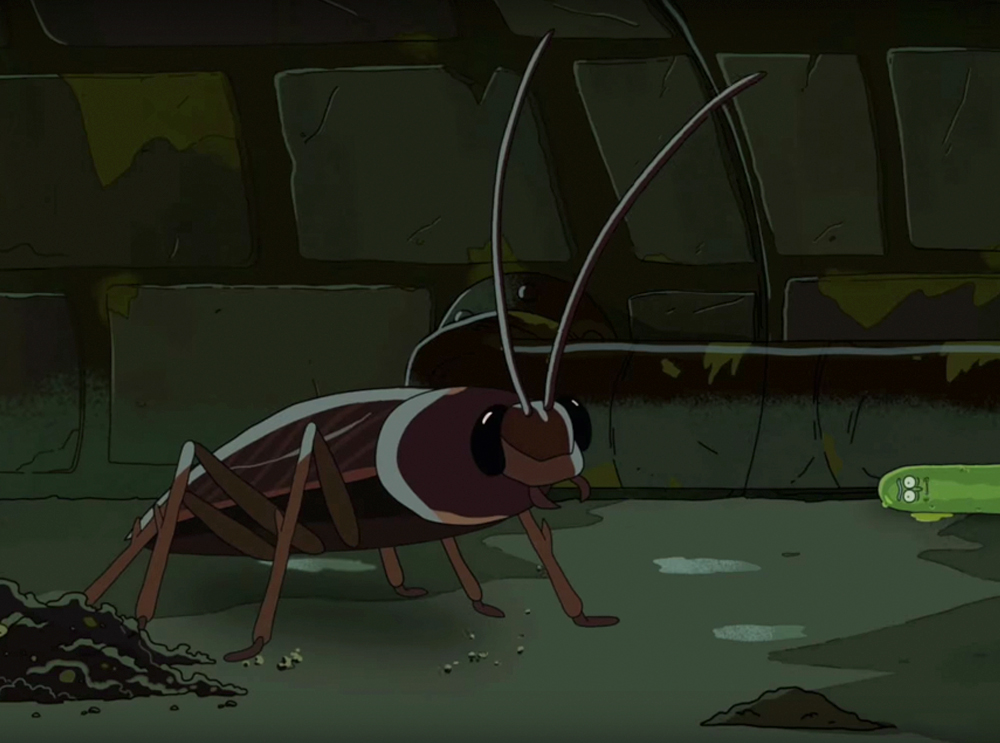 Fazendeiro combate desperdício de comida com 300 milhões de baratas