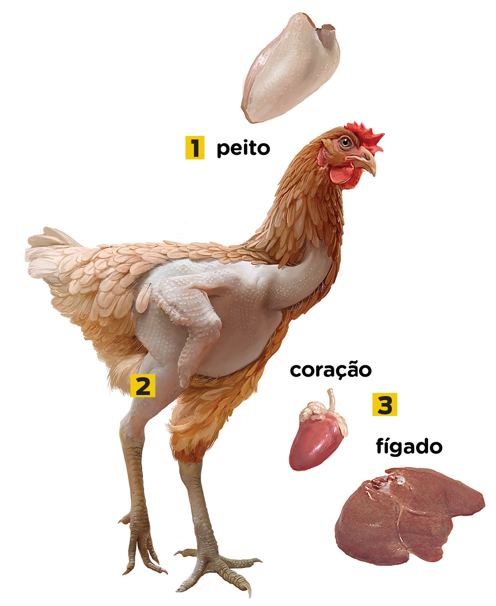 De que parte dos animais vêm as carnes que comemos?