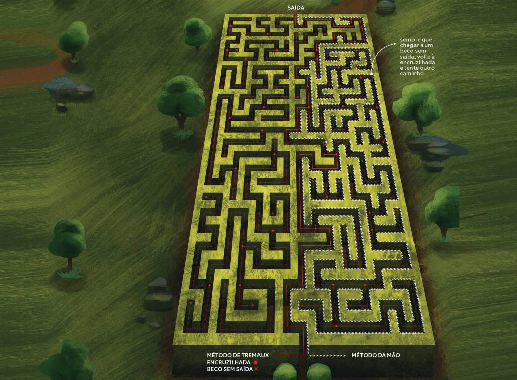 Qual o jeito mais inteligente para escapar de um labirinto?