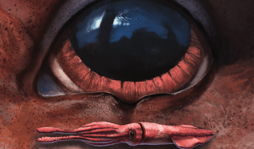 Qual o maior olho do reino animal?