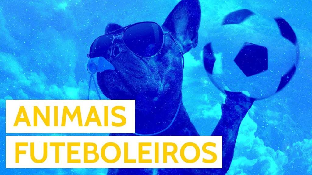 Os melhores GIFS de animais jogando futebol