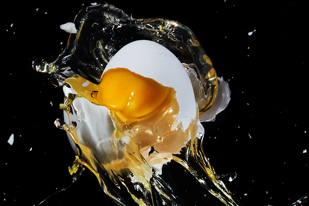 O ovo de galinha é formado por uma única célula?