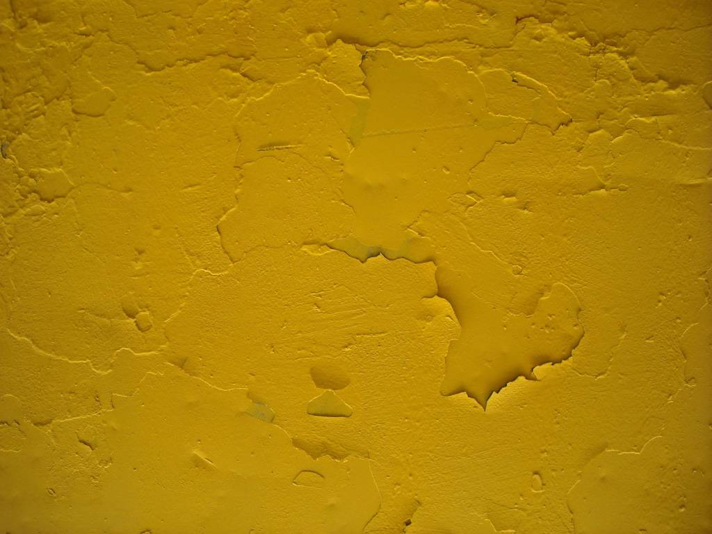 Ver tinta secar dá origem a uma nova descoberta científica