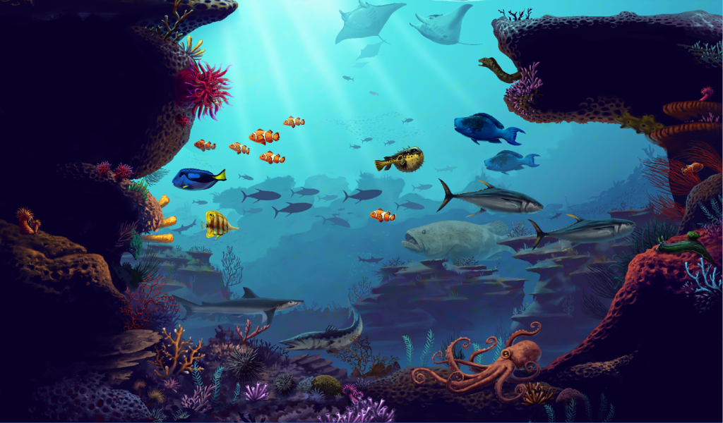 Como é a vida em um recife de coral?