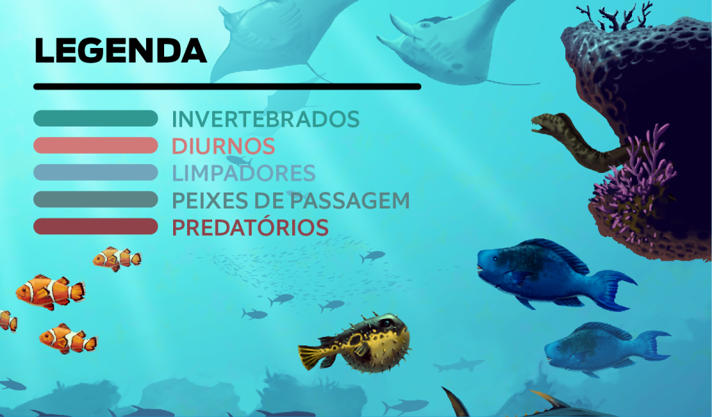 recife-de-coral-5 recife-de-coral-5
