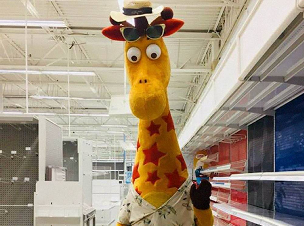 Zoológico oferece novo emprego para mascote de empresa de brinquedos