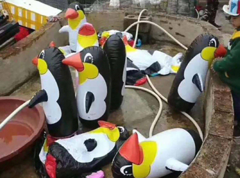 Zoológico na China substitui animais por cópias infláveis